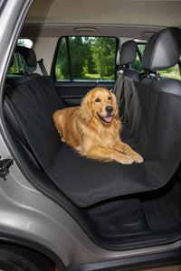 Asiento trasero protegido con la funda CANFIELD, limpio