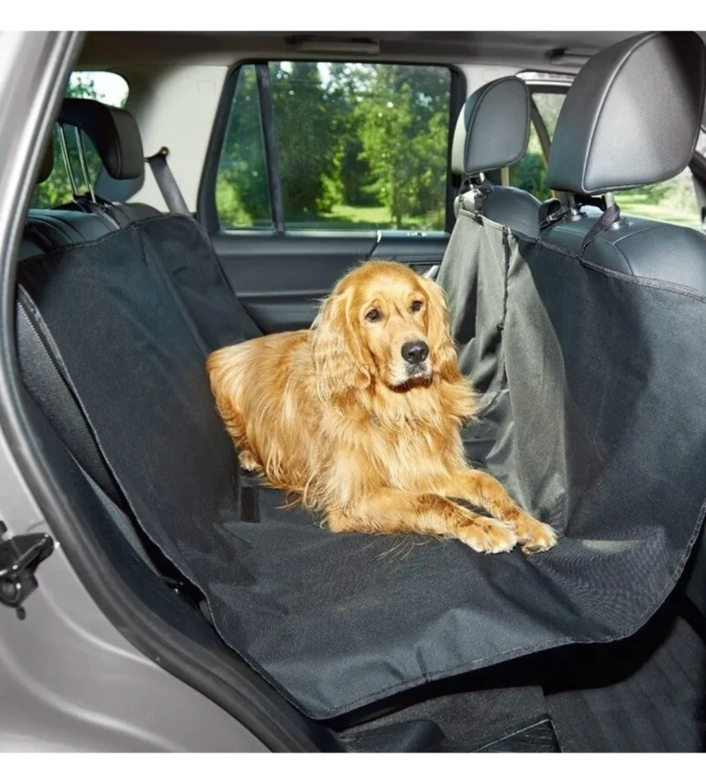 Funda cubre asiento CANFIELD instalada con un perro golden retriever